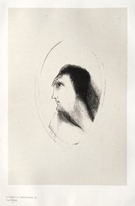 Het spookhuis: De breedte en vlakheid van [het] voorhoofd, 1896 door Odilon Redon