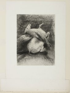 De Onmachtige Vleugel Tilte het Dier Niet in Die Zwarte Ruimte, plaat 7 van 8 uit "Les Origines" door Odilon Redon