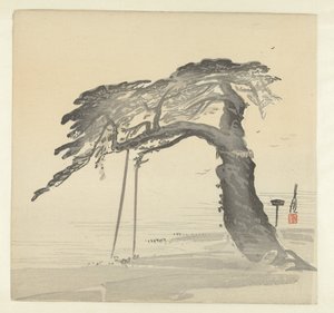Oude pijnboom door Ogata Gekko