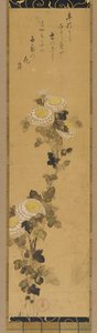 Chrysanten door Ogata Kenzan