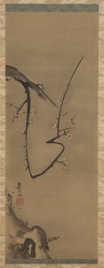 Prunus, hangende rol, ca. 1700 door Ogata Korin
