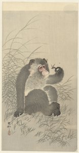 Aap met insect door Ohara Koson