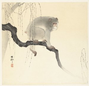 Aap op boomtak door Ohara Koson
