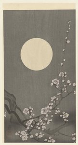 Bloeiende pruimenbloesem bij volle maan door Ohara Koson