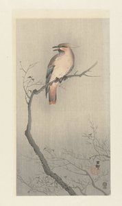 Pestvogel op een Tak door Ohara Koson