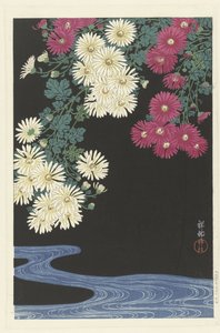 Chrysanten en stromend water