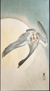 Vlucht van eenden in maanlicht door Ohara Koson