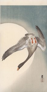 Vliegende witvoorhoofd gans gezien van onderen voor de maan door Ohara Koson