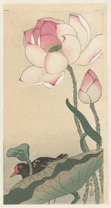 Gallinule met lotus bloemen door Ohara Koson