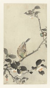Gors op bloesemtak door Ohara Koson