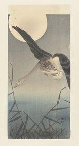 Kolgans bij volle maan door Ohara Koson