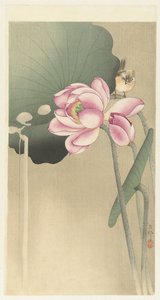 Zangvogel en Lotus