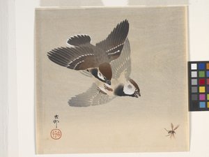 Mussen die een Vliegend Insect Achtervolgen door Ohara Koson