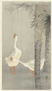 Tamme ganzen in regen door Ohara Koson