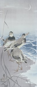 Drie strandlopers aan de waterkant voor riet (kleur houtsnede) door Ohara Koson