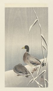 Twee eenden op besneeuwde rietover door Ohara Koson