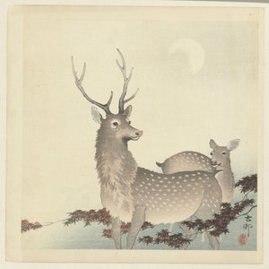 Twee herten door Ohara Koson