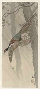 Vliegende fazant door Ohara Koson