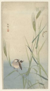Vogel en vlinder