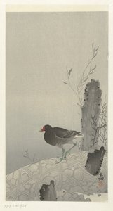 Waterhoen door Ohara Koson