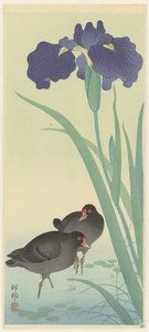 Waterhoentjes en iris door Ohara Koson