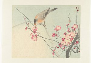 Zangvogel op bloesemtak door Ohara Koson