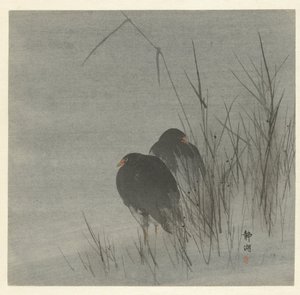 Twee meerkoeten tussen riet door Okuhara Seiko