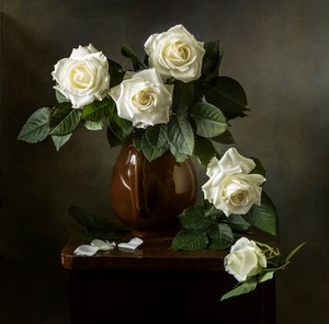 Elegante witte rozen
