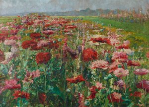  door Olga Wisinger-Florian