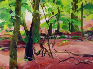 Forêt 20