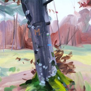 Forêt 38 door Olivier Morel