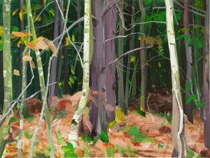 Forêt 7