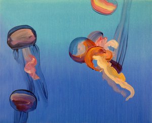 Méduses 14, 2013 (acryl op doek)