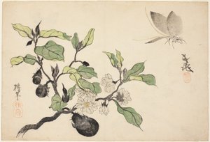 Aubergine met fruit en bloemen door Onishi Chinnen