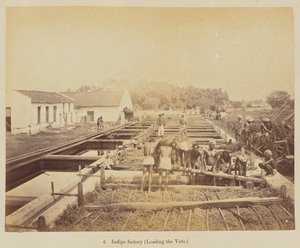 Indigo fabriek (laden van de vaten) door Oscar Jean Baptiste Mallitte