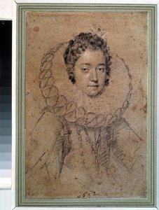 Portret van een dame van de aristocratie