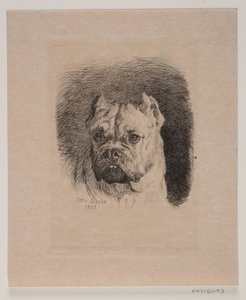 Een hondenkop door Otto Bache