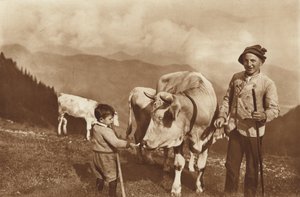 Op de Alp door Otto Ballerstedt