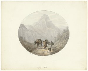 Berglandschap te Spanje, met pakezels