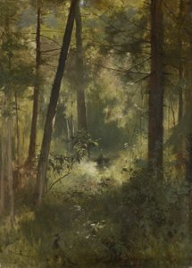 Binnen in het bos