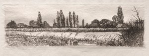 Korenveld, 1879