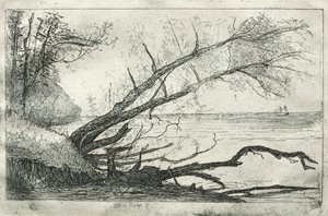 Oude esdoorn, 1877 door Otto H. Bacher