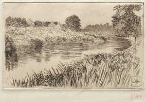 Aan de Bronx, 1906