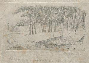 Schets van de natuur door Otto H. Bacher