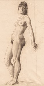 Staand naaktmodel