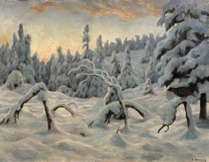 Sparrenbos na sneeuwval