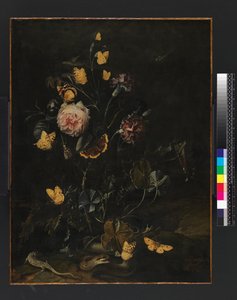 Bloemen, insecten en reptielen, 1673