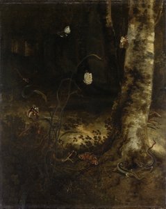 Bosgrond met een slang, hagedissen, vlinders en andere insecten door Otto Marseus  van Schrieck