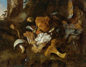 Bosbodem stilleven met paddenstoelen, vlinders en een slang