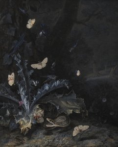 Stilleven met Distel en Slang